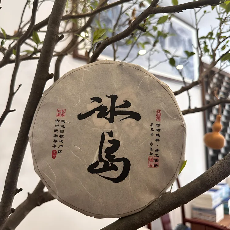 春禧的茶 2024年春冰岛南迫老寨古树普洱茶