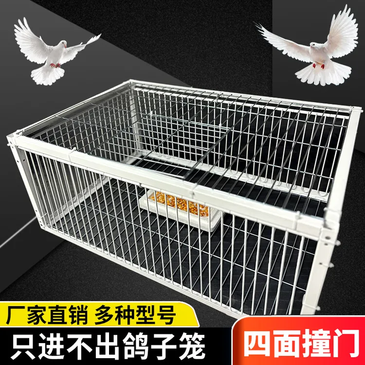 天落笼户外家用屋顶厂房回收鸽子笼活络撞门信鸽自动门进鸽子神器