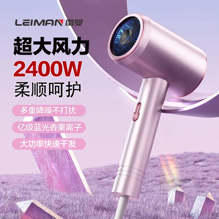 Leiman雷曼高速大功率家用发廊速干吹风机负离子护发冷热电吹风筒