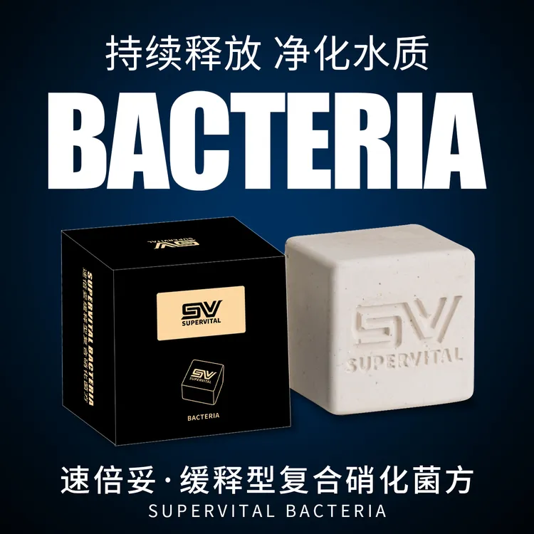 速倍妥菌方鱼缸硝化细菌庭院鱼池净水抑藻观赏鱼空气缸水质稳定剂