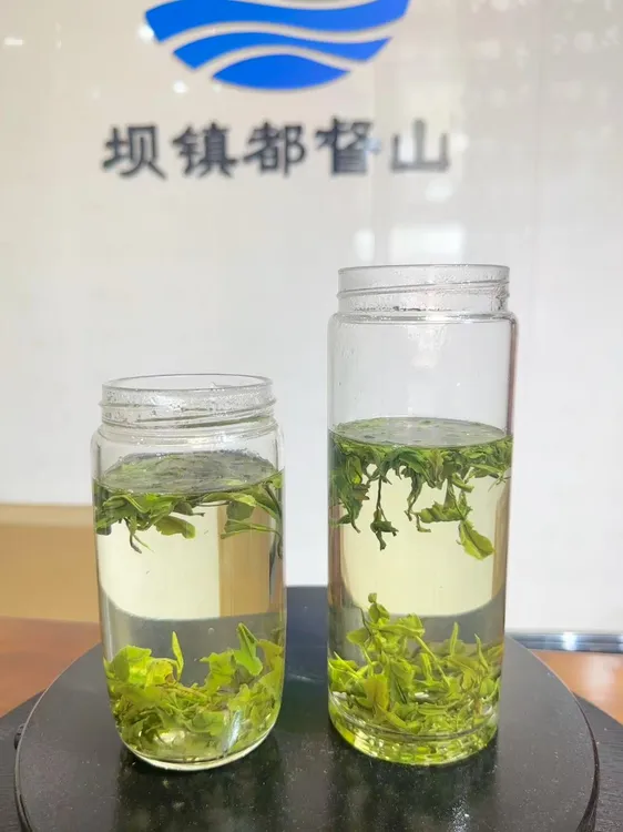 『25年新茶』手工野茶毛峰 喝茶简单一点  茶汤会说话