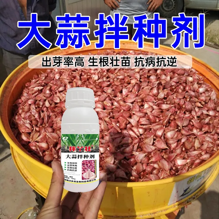 大蒜拌种专用剂大蒜出苗快又齐提高蒜种抗性长势健壮大蒜拌种剂