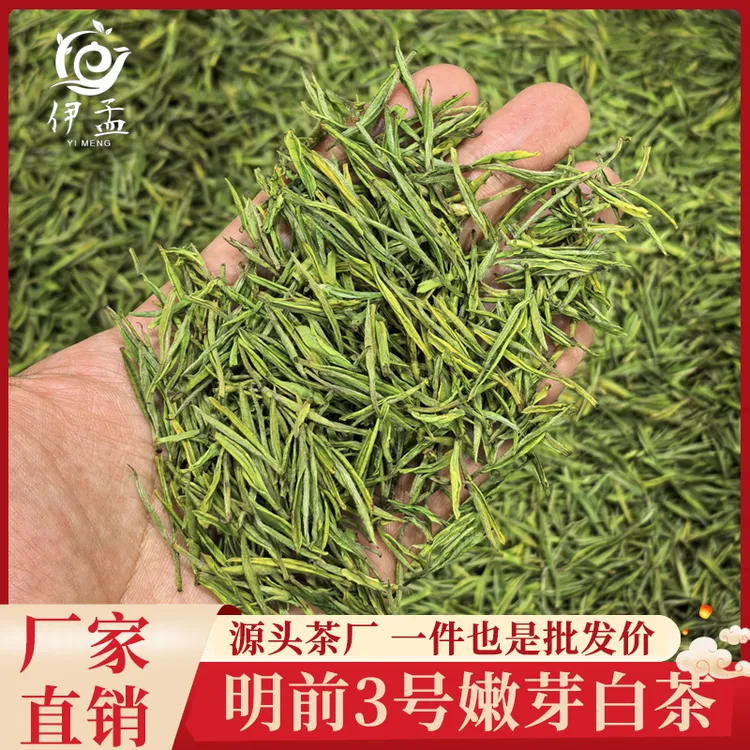 2025新茶正宗明前高山白茶高档一芽一叶嫩芽白茶浙江丽水原产白茶