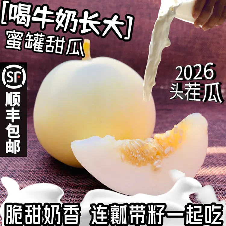 【顺丰包邮】奶香小蜜罐甜瓜山东早甜脆香瓜新鲜水果小蜜蜂甜瓜脆甜