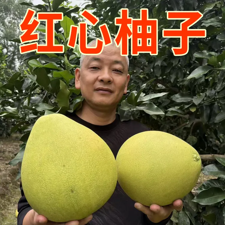 红心柚子红肉薄皮新鲜水果酸甜多汁果园直发荆州章庄铺源产地现发