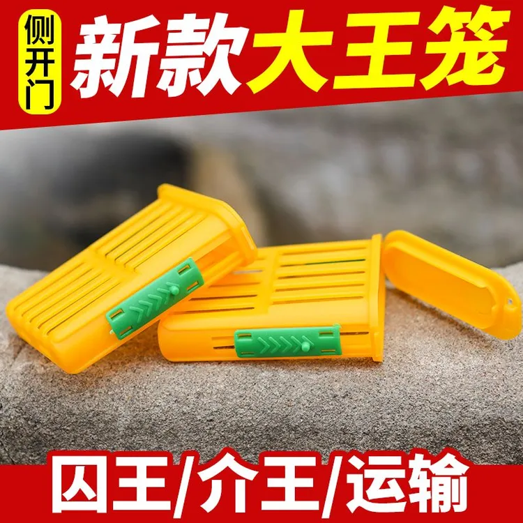 中蜂囚王笼多功能塑料王笼养蜂介王笼邮寄王笼专用意蜂囚王笼批发