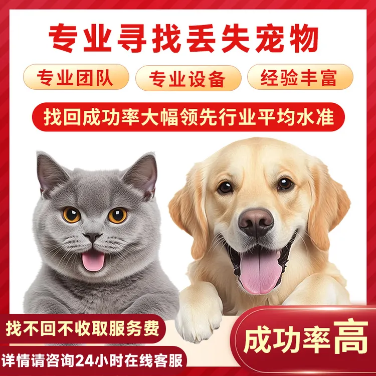 宠物寻找找猫服务找狗服务寻猫团队宠物侦探寻狗团队宠物搜救寻宠