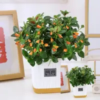 补贴【金鱼吊兰盆栽】植物四季好养室内客厅阳台好养花卉四季常青