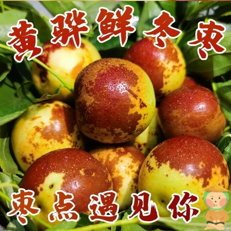 （顺丰包邮）黄骅聚馆新鲜现摘脆甜多汁产地直发新鲜水果