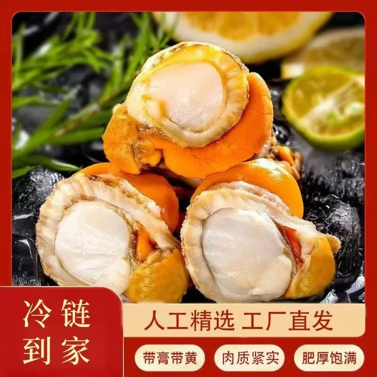 新鲜扇贝肉正宗山东烟台渤海湾带膏带黄去壳无沙2500g冷链发货