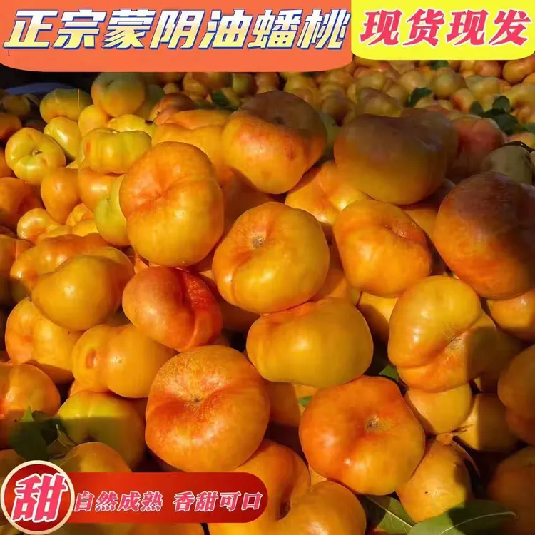 山东蒙阴彩虹油蟠桃新鲜现摘甜嫩多汁黄心应季水果