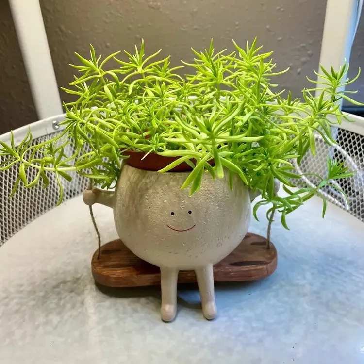 秋千摇篮花盆室内摆件家居庭院花园世界可爱花盆树脂装饰居家礼物