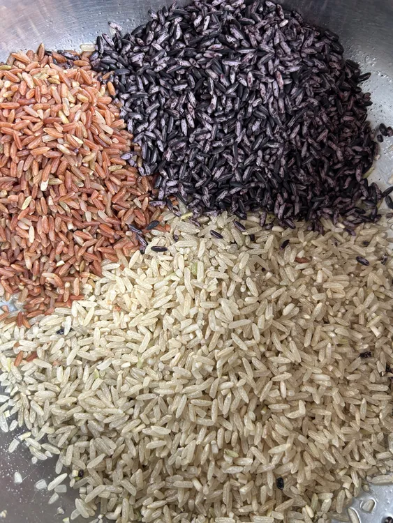 仙游钟山（混合软糙米）（2025新米）