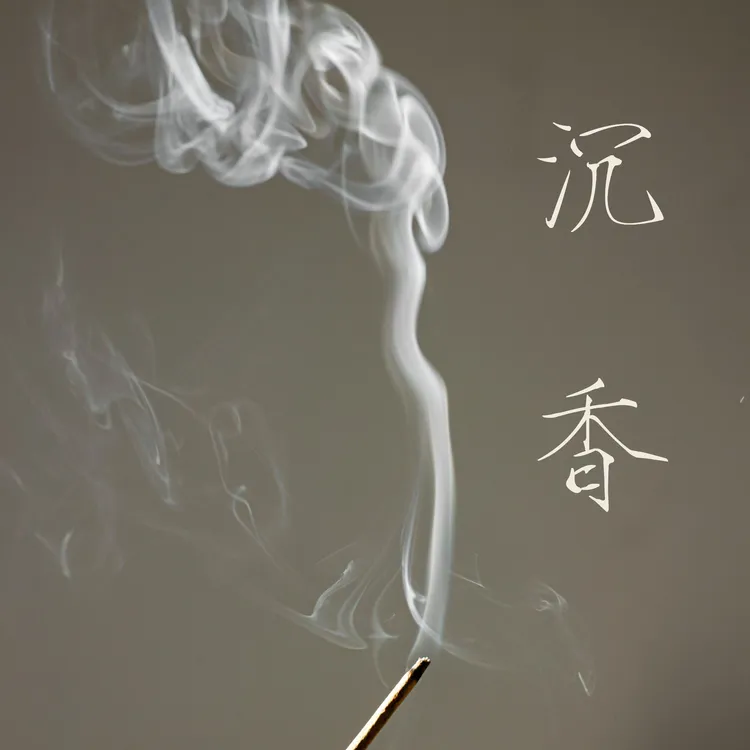 天然沉香线香天然线香熏香，是心无旁骛的纯粹｜守其本心，毁誉由他