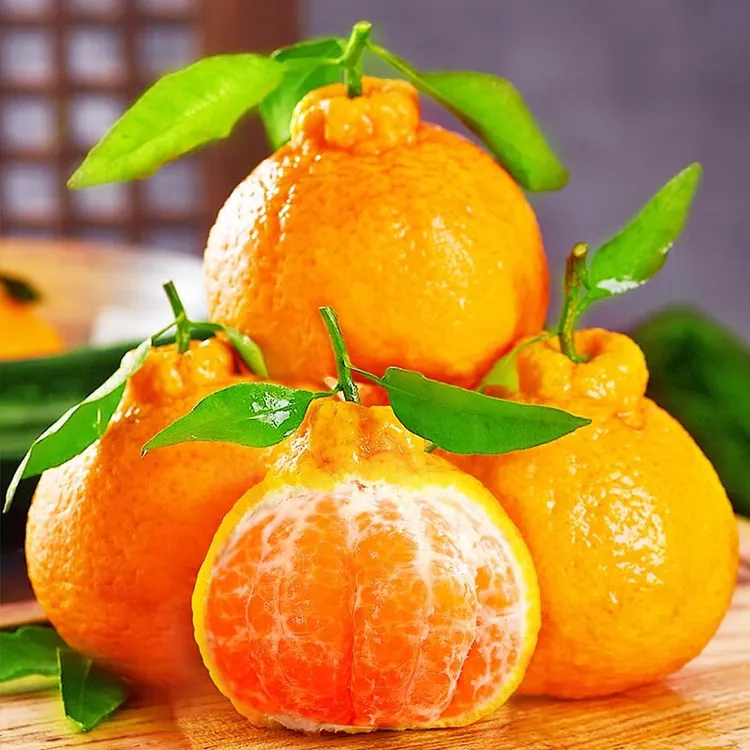 【顺丰包邮】正宗四川不知火丑橘丑八怪新鲜孕妇水果耙耙丑柑手剥桔