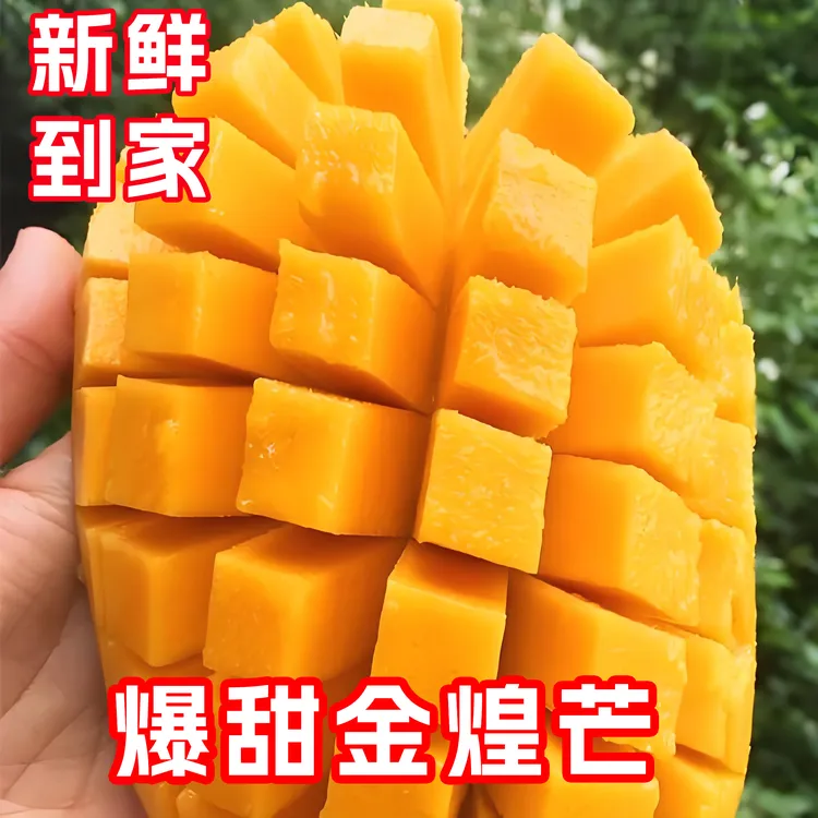 芒果界的爱马仕一海南金煌芒/肉厚甜蜜/软糯鲜甜/多汁/自然成熟