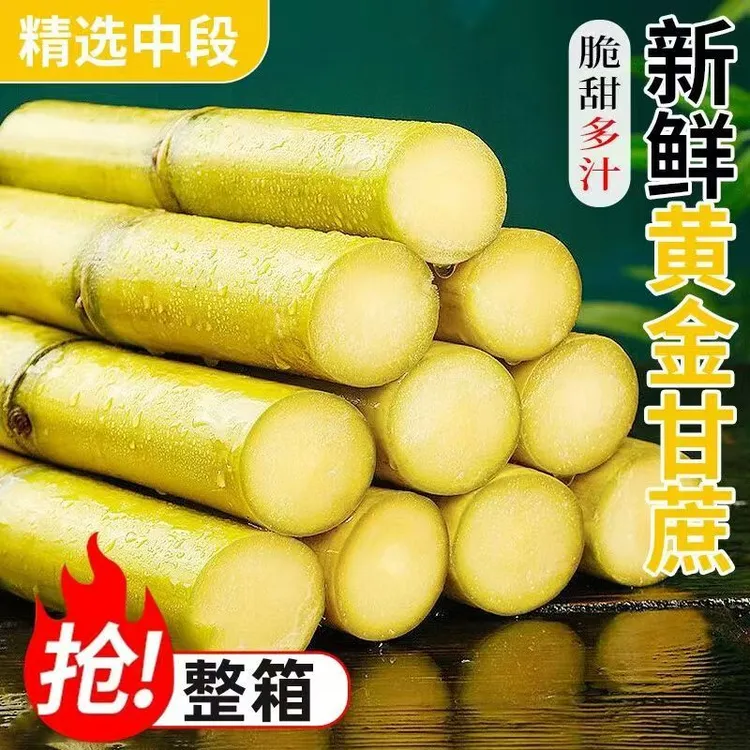 云南新鲜黄金甘蔗现砍现发薄皮手撕脆甜多汁当季水果