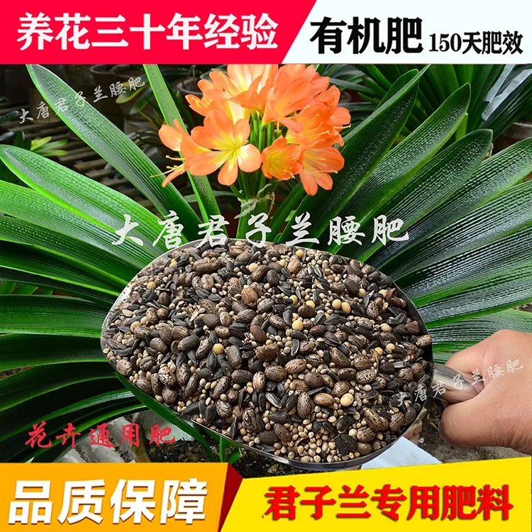 君子兰专用肥底肥腰小麻子蓖麻油葵黄豆肥盆栽肥料直接用花土