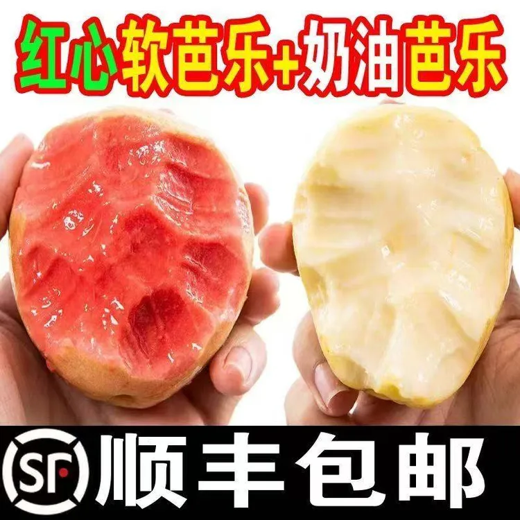 广西芭乐软糯香甜红心白心番石榴新鲜高维C低卡水果【顺丰包邮】