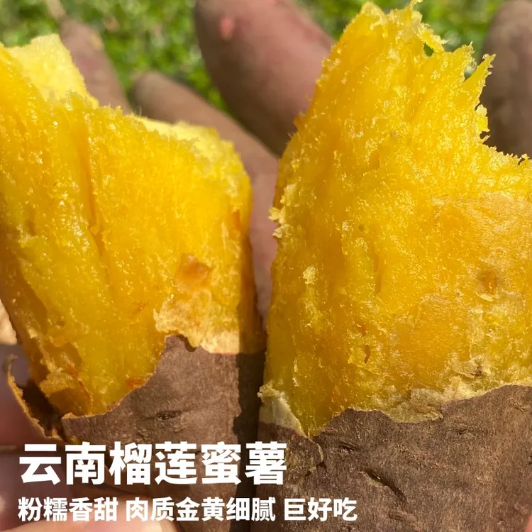 现挖云南黄金榴莲蜜薯3/4.5斤新鲜采摘红薯软糯香甜好吃拍大果