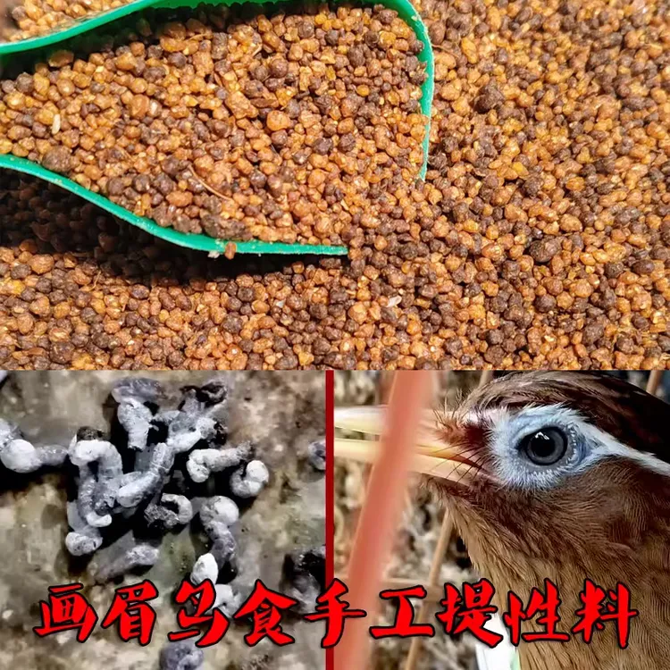 画眉鸟食专用饲料提性唱鸟料斗鸟料壮膘营养料画眉鸟饲料500g包邮