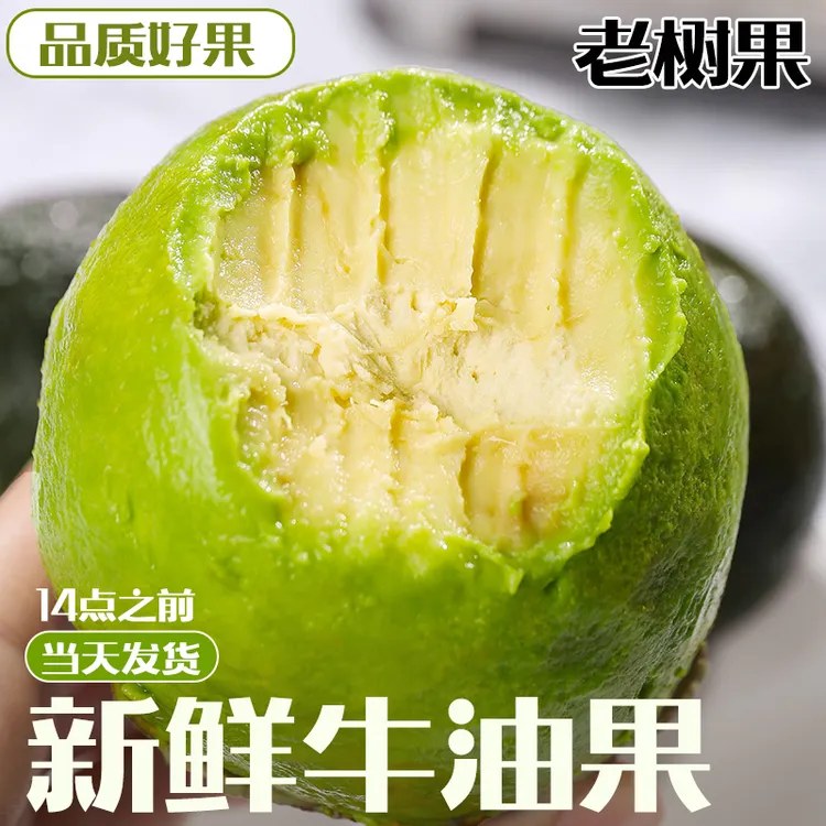 【整箱6枚】云南哈斯牛油果新鲜当季森林奶油宝宝辅食当季新鲜水果