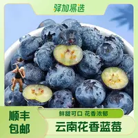【云南高山花香大蓝莓】酸甜可口，现摘现发，顺丰包邮-L25DB