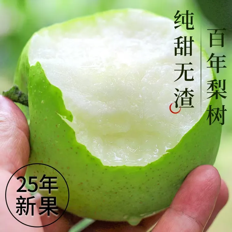 正宗砀山梨子当季水果新鲜应季青皮青梨皇酥梨整箱应翠冠大果梨