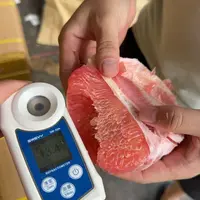 【阿良甄选】泰国青皮红宝石红肉柚子2粒装顺丰包邮