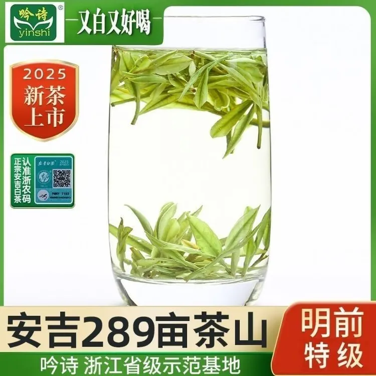 【兰香小芽】A422025年正宗安吉白茶新鲜特级明前原产地茶叶春