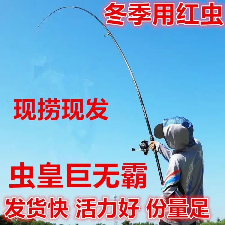 拉尔肉夹馍【净重小红虫】红虫活饵鲜活饲料血红虫红线虫鲜活