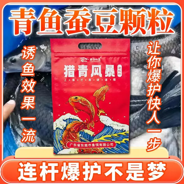 新款夏季钓青鱼蚕豆大青窝料黑坑野钓专用挂钩皮筋青鱼颗粒饵料