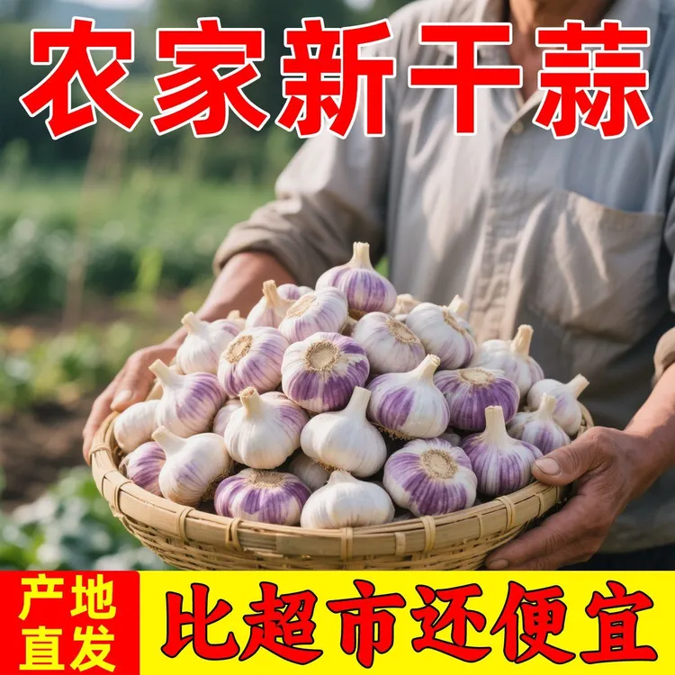 【特大干大蒜】紫独蒜白皮新鲜农家自种优质特大干蒜