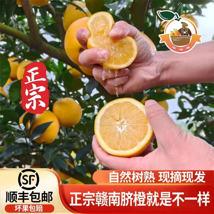 旺溏崠正宗赣南脐橙果农直发橙香四溢维c纽荷尔江西水果赣南脐橙