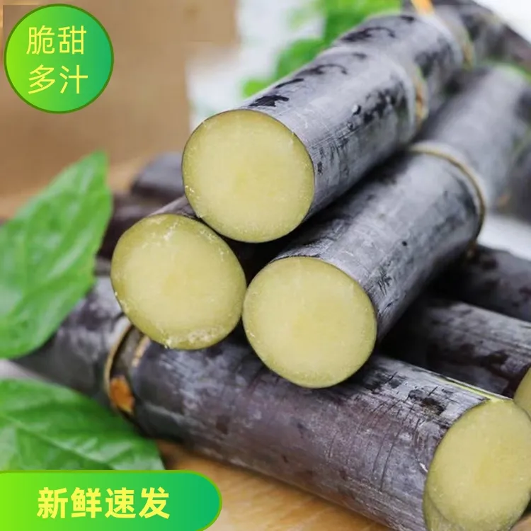 【不甜包赔】广西黑皮甘蔗精选中段甘蔗脆甜多汁新鲜应季水果5/9斤