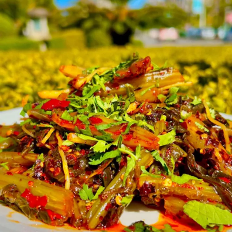 云南保山手工酸腌菜农家传统开胃下饭菜油辣子腌菜