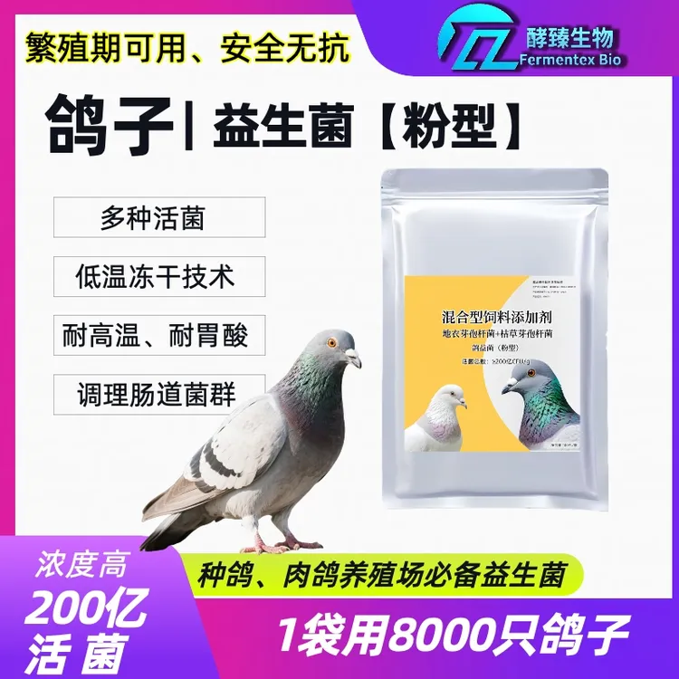 鸽子益生菌赛鸽肉鸽孕鸽种鸽观赏鸽活菌王兑水拌料无抗助消化正品