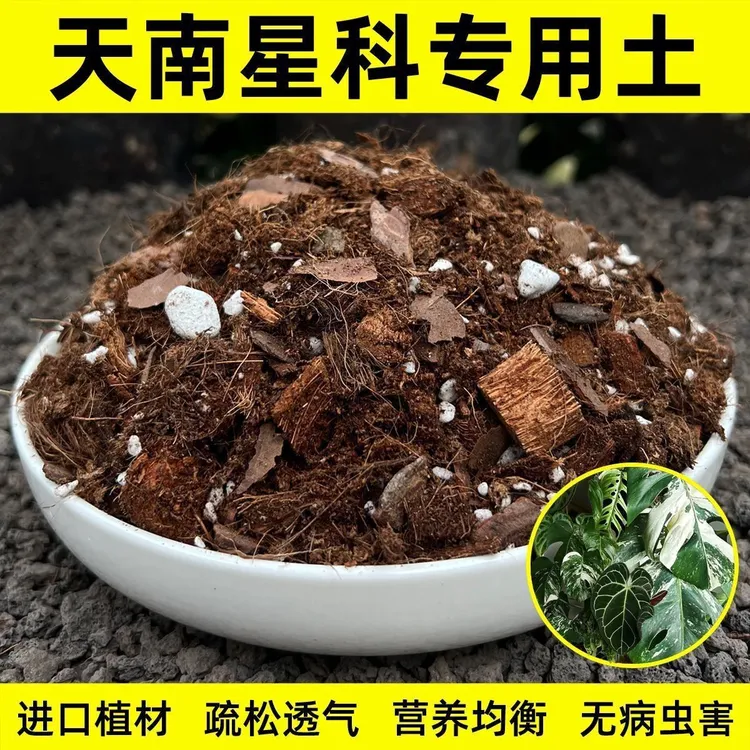 龟背彩叶君子兰专用定制土散装 15 升