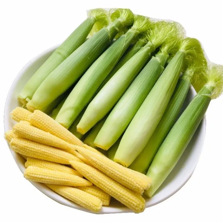 广东玉米笋新鲜带皮迷你小玉米芯嫩现摘清甜脆嫩产地直发