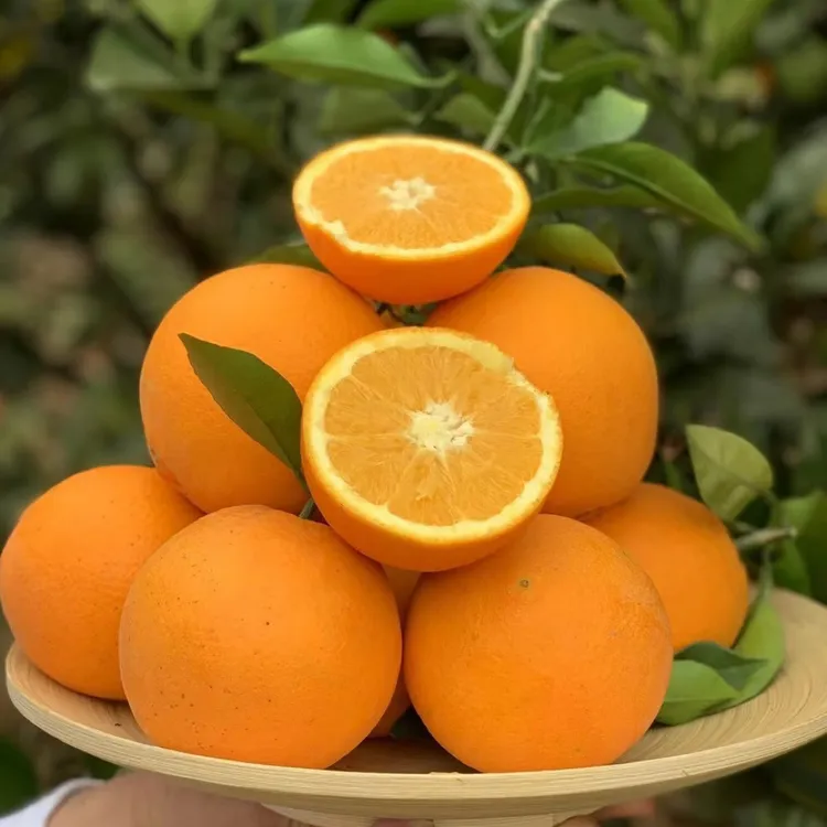江西赣南正宗脐橙新鲜现摘甜橙子当季头茬水果