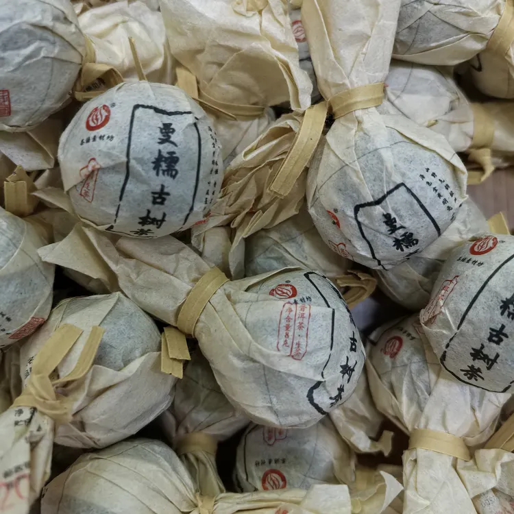 2023年勐海曼糯古树茶，龙珠普洱茶，头春头采