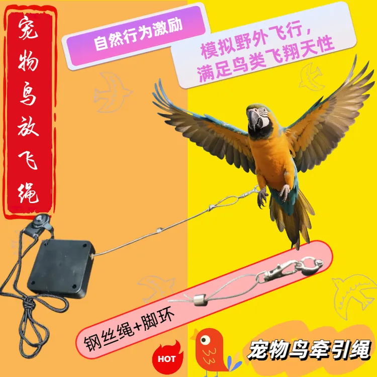 遛鸟神器鹦鹉牵引绳自动伸缩脚环放飞绳外出飞行不伤脚宠物鸟用