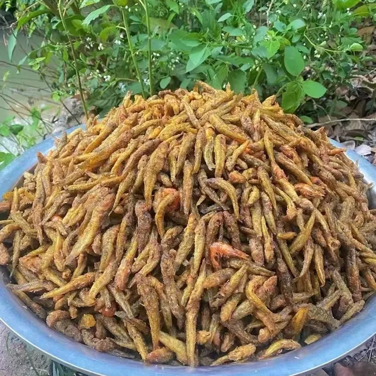 广西横县淡水小鱼干木头鱼美味下酒菜油炸鲜炸鱼干干鱼（顺丰包邮）