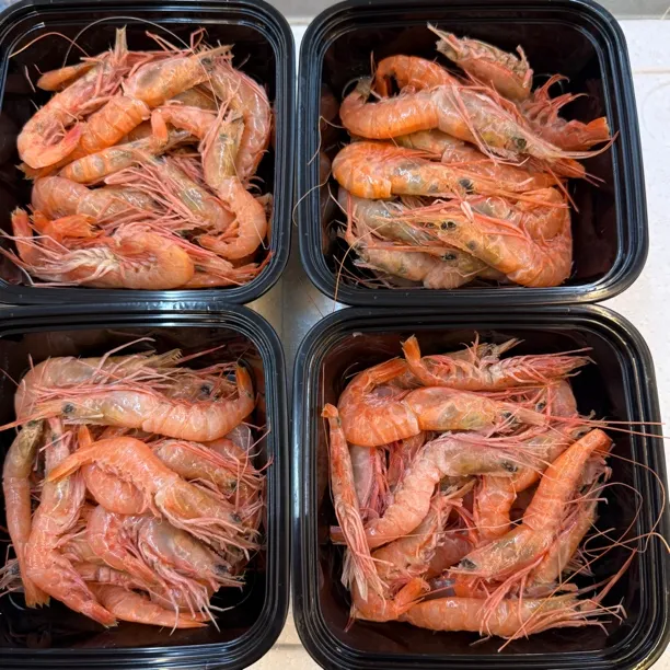 东海野生海捕红虾肉质严选顺丰冷链包邮