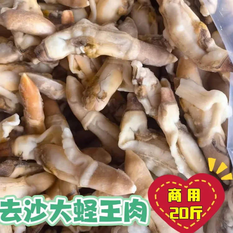 新鲜大个竹节蛏蛏王肉去壳去沙囊无沙带黄商用冷冻爆炒捞汁挂冰