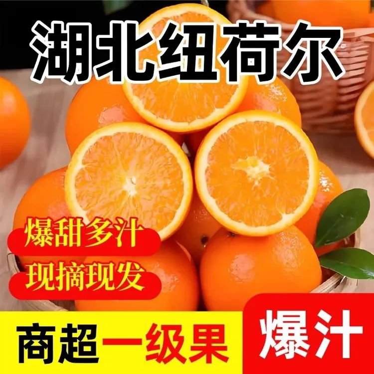 湖北正宗纽荷尔脐橙手剥橙香甜多汁新鲜应季水果现摘现发孕妇水果