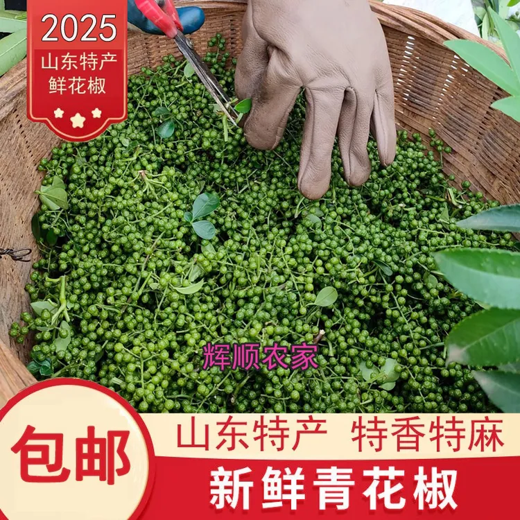 山东新鲜青花椒新鲜花椒麻椒保鲜花椒特香特麻正宗枣庄花椒山花椒