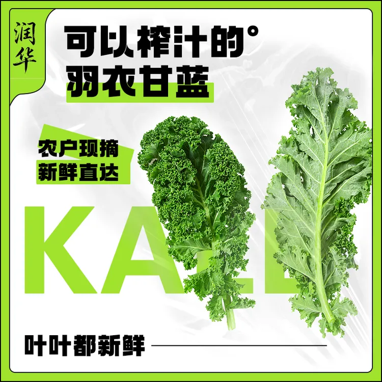 网红爆款产地直采冷鲜发货新鲜羽衣甘蓝叶子