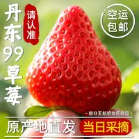 丹东红颜99草莓奶油牛奶当季丹东草莓现货空运包邮GD