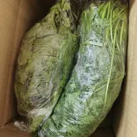 生菜香菜臭菜套餐一共2斤包邮